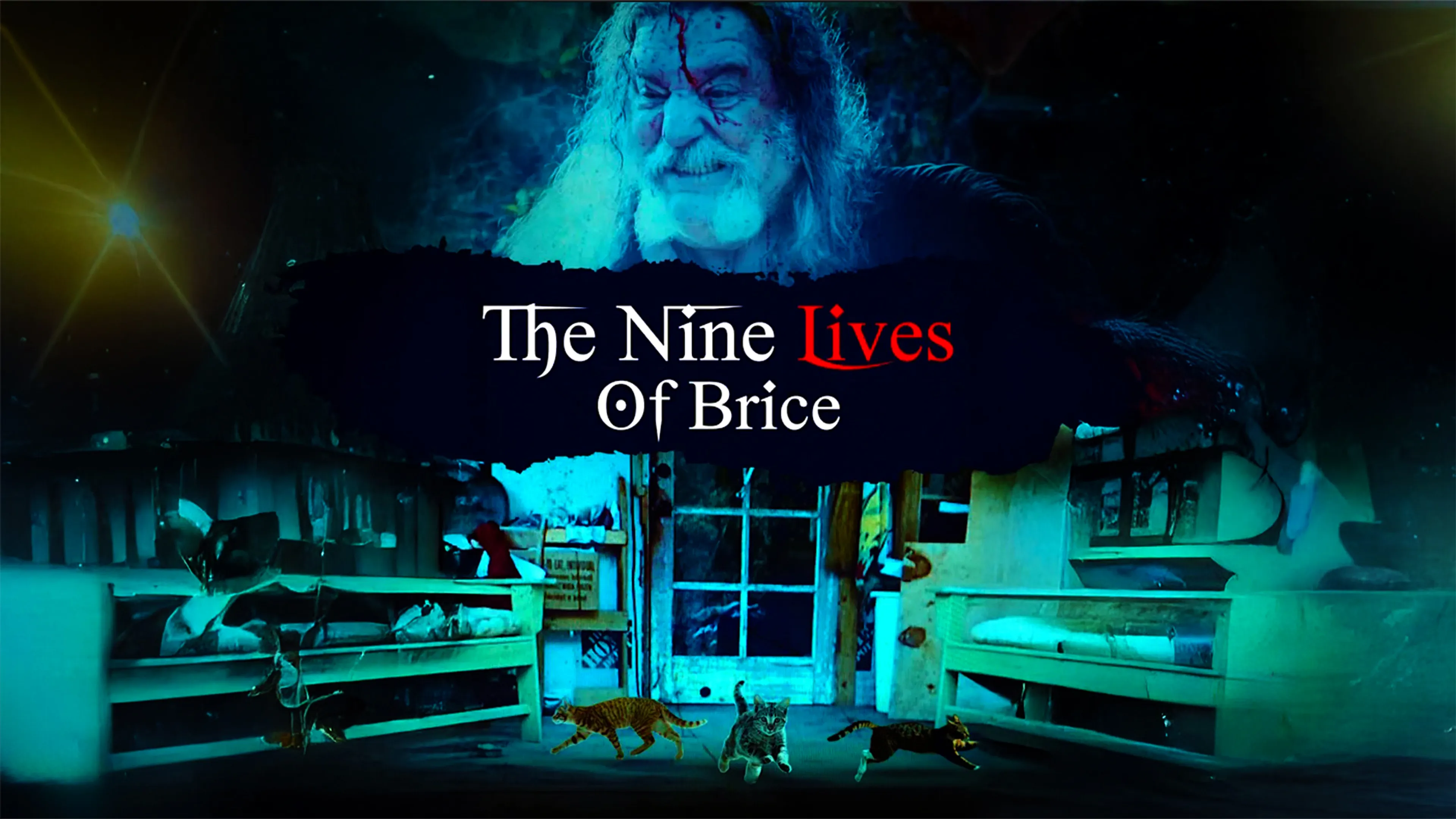 The Nine Lives Of Brice poster